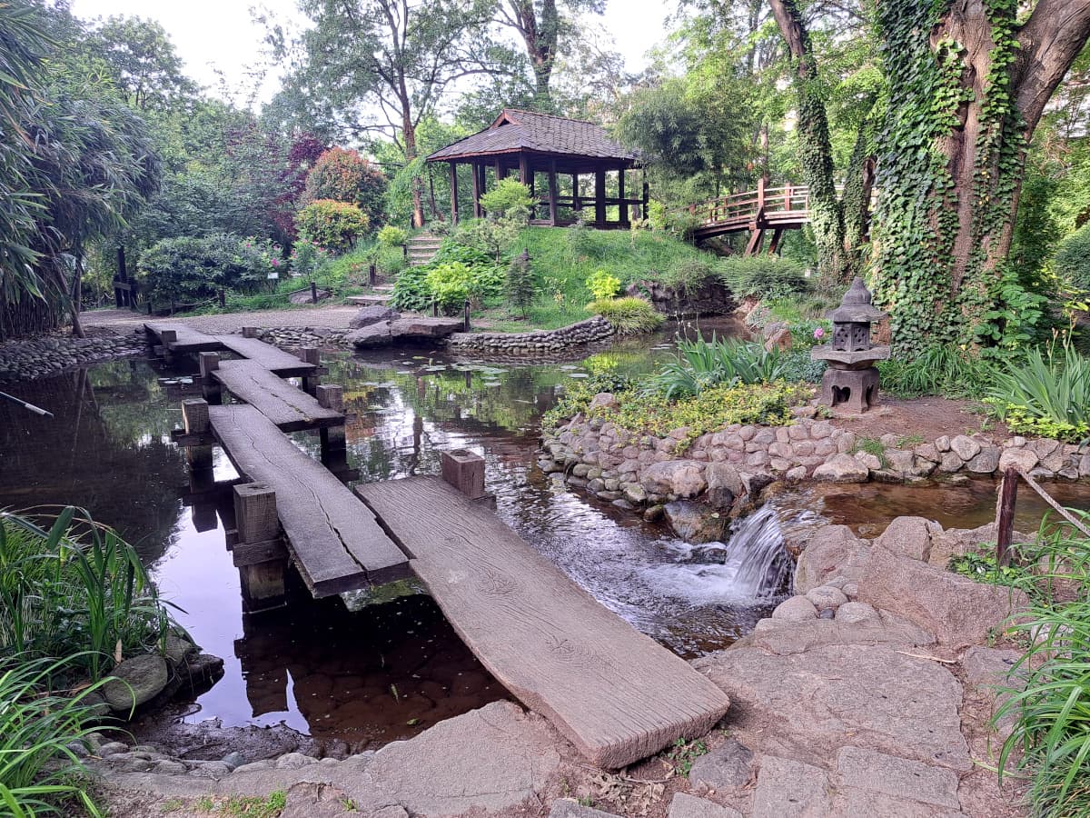 Japanese garden at Jevremovac Botanical Garden